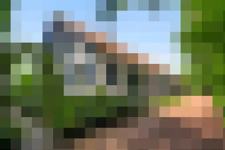 De Weerd 9 Roermond thumbnail 44