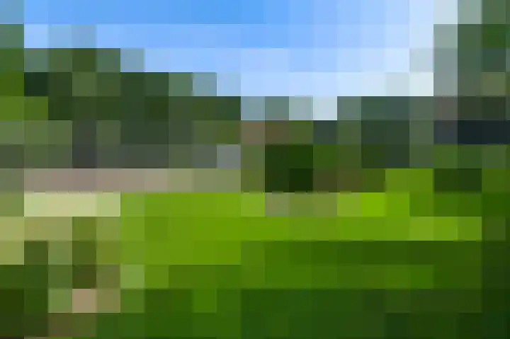 De Weerd 9 Roermond thumbnail 49