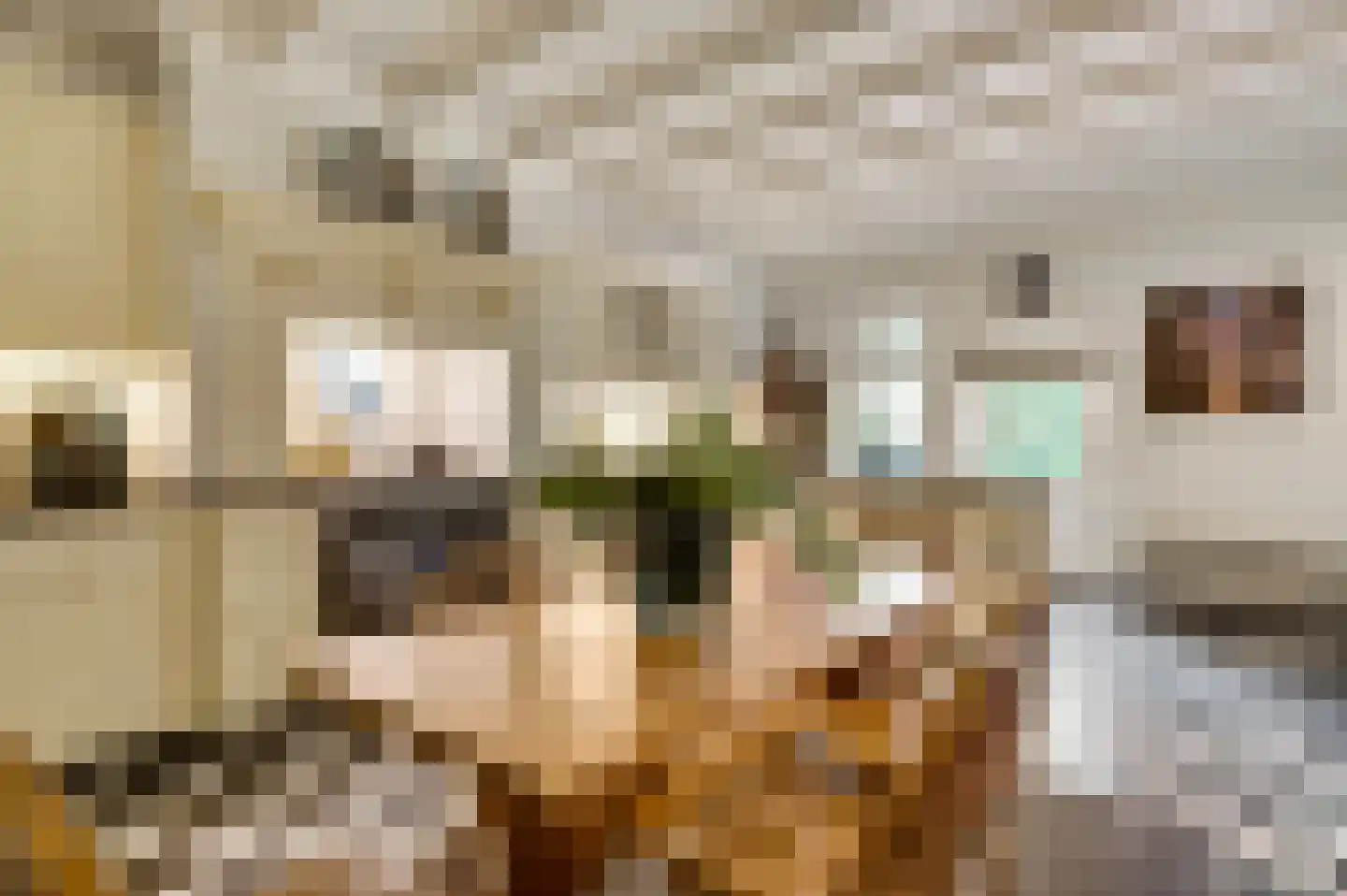 De Weerd 9 Roermond thumbnail 5
