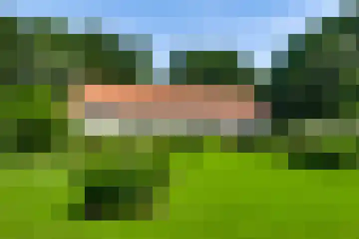 De Weerd 9 Roermond thumbnail 51