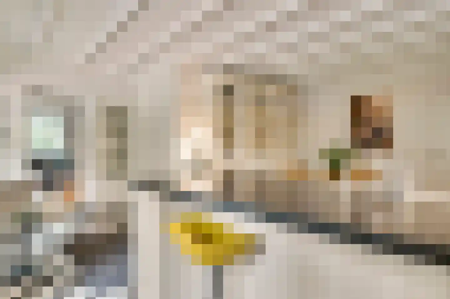 De Weerd 9 Roermond thumbnail 6