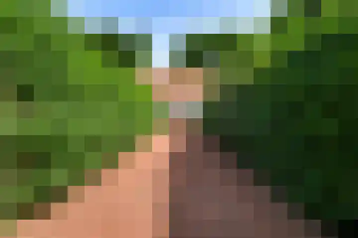 De Weerd 9 Roermond thumbnail 7