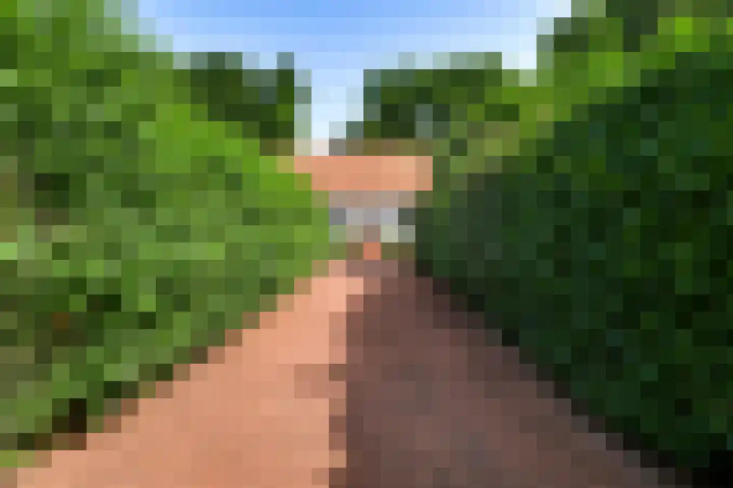 De Weerd 9 Roermond thumbnail 7