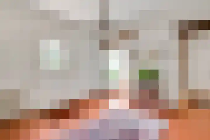 De Weerd 9 Roermond thumbnail 8