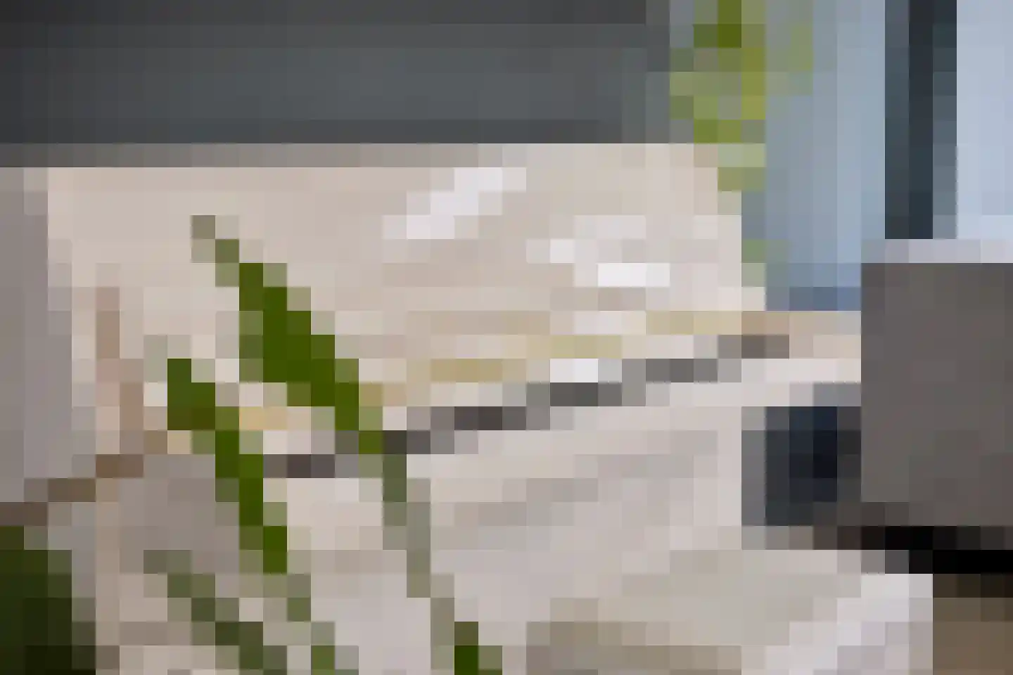 De Weerden 7 Someren thumbnail 13