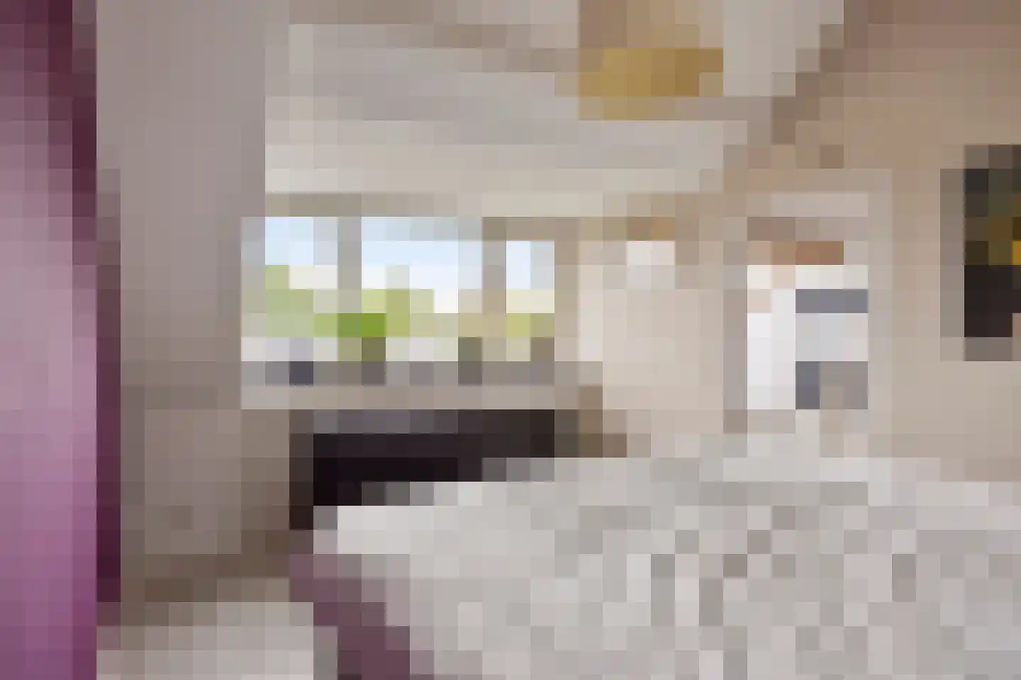 De Weerden 7 Someren thumbnail 33