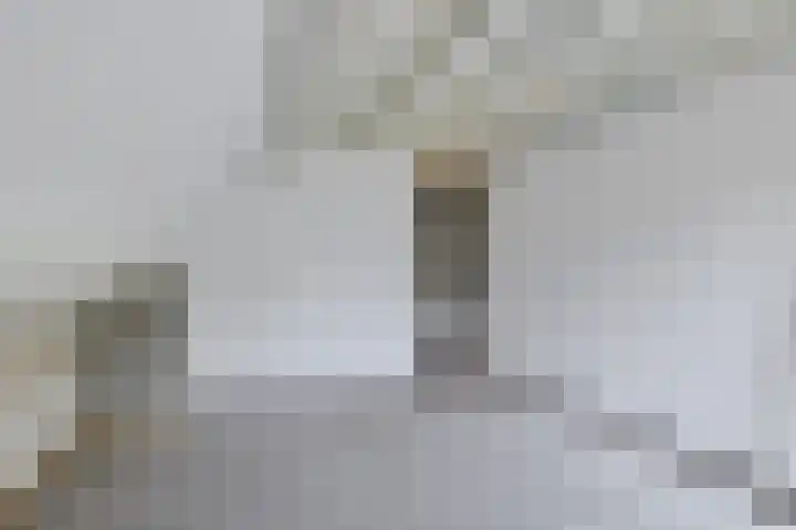 De Weerdstraat 16 Klazienaveen-Noord thumbnail 14