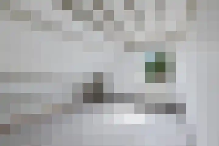 De Weerdstraat 16 Klazienaveen-Noord thumbnail 15