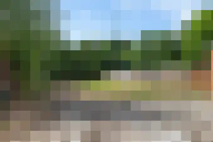 De Weerdstraat 16 Klazienaveen-Noord thumbnail 18