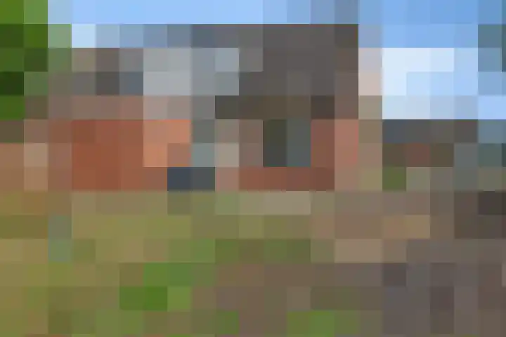 De Weerdstraat 16 Klazienaveen-Noord thumbnail 19