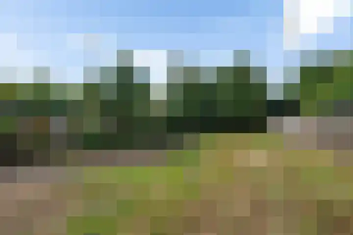 De Weerdstraat 16 Klazienaveen-Noord thumbnail 20