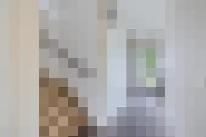 De Weerdstraat 16 Klazienaveen-Noord thumbnail 4