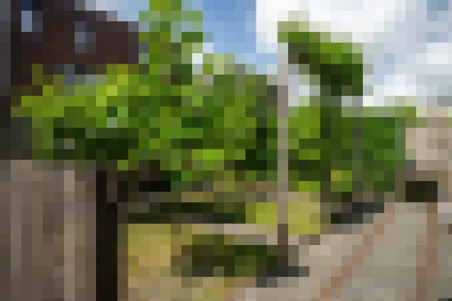 de Weeren 8 Leeuwarden thumbnail 35