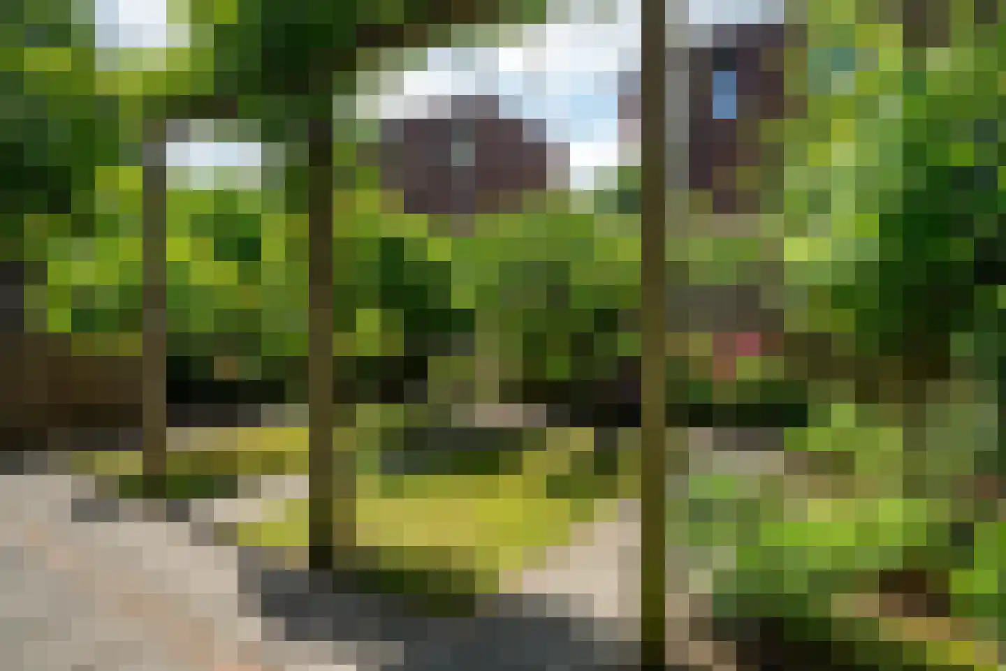 de Weeren 8 Leeuwarden thumbnail 36