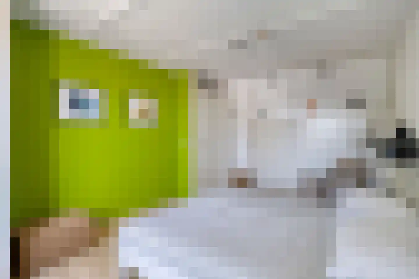 De Weergang 11 Arnhem thumbnail 29