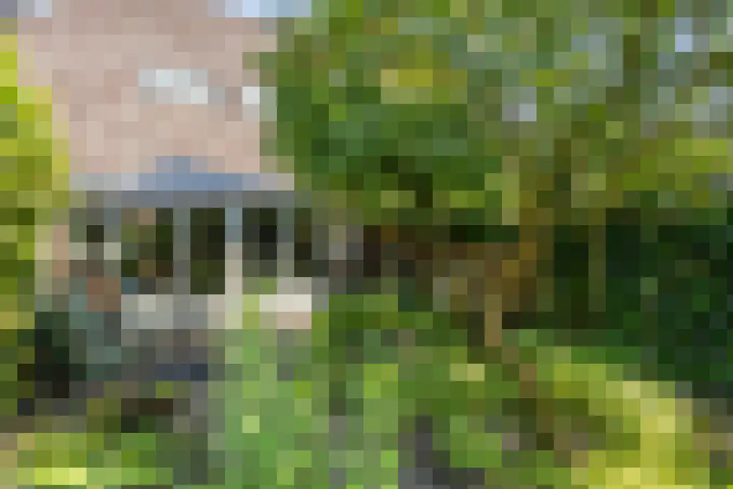 De Weergang 11 Arnhem thumbnail 30