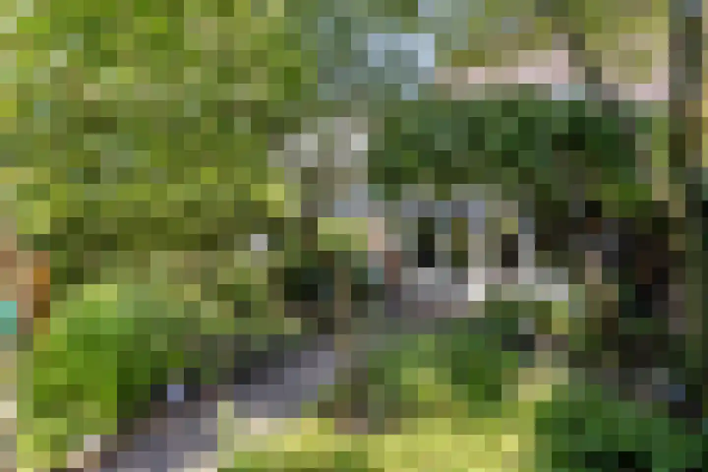 De Weergang 11 Arnhem thumbnail 32