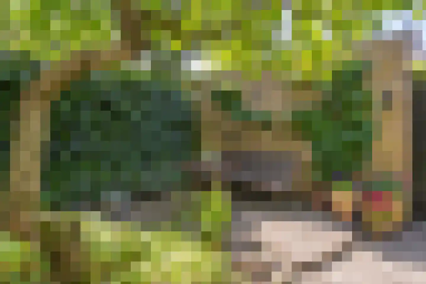 De Weergang 11 Arnhem thumbnail 33