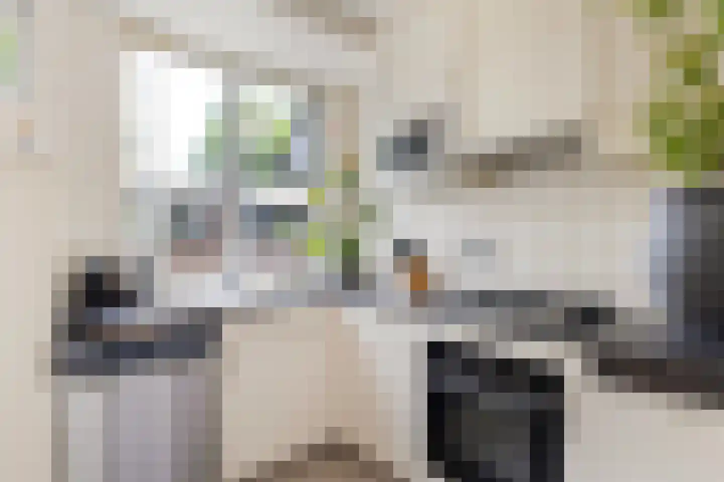 De Weergang 3 Arnhem thumbnail 13