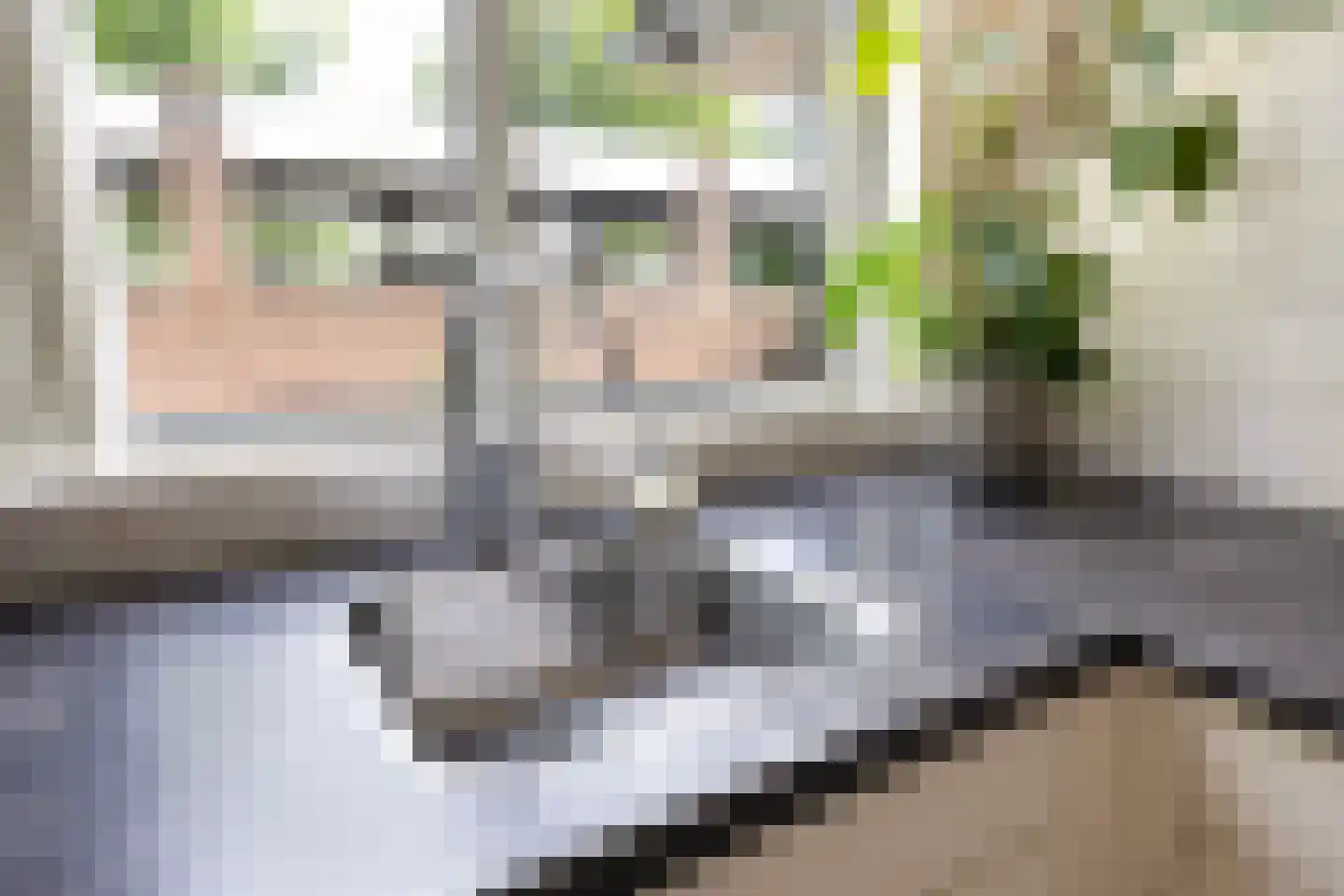 De Weergang 3 Arnhem thumbnail 15
