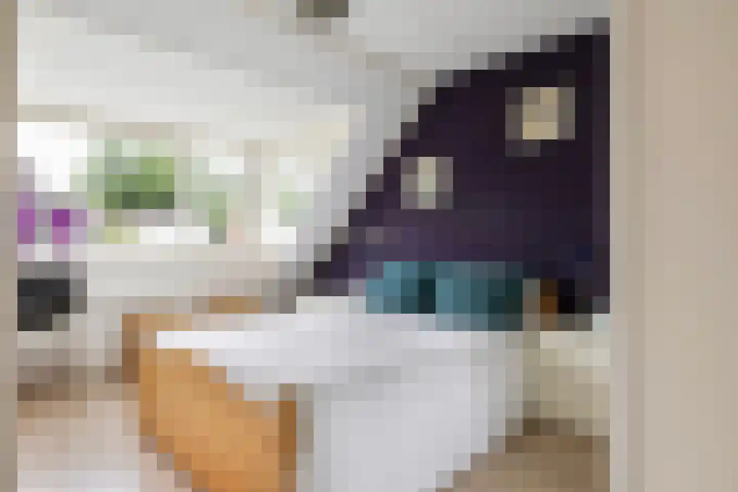 De Weergang 3 Arnhem thumbnail 17