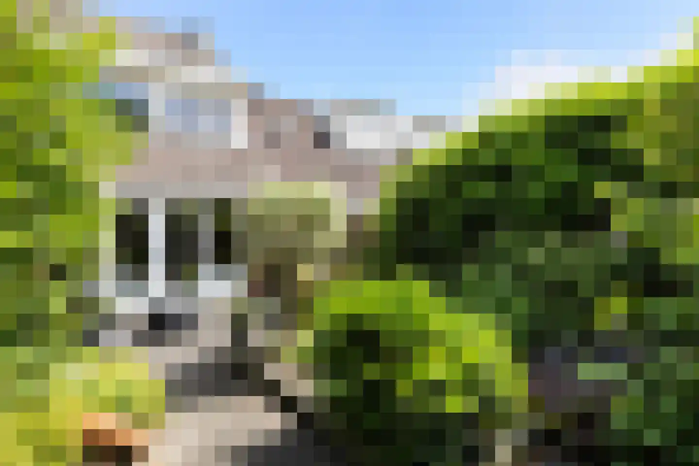 De Weergang 3 Arnhem thumbnail 33
