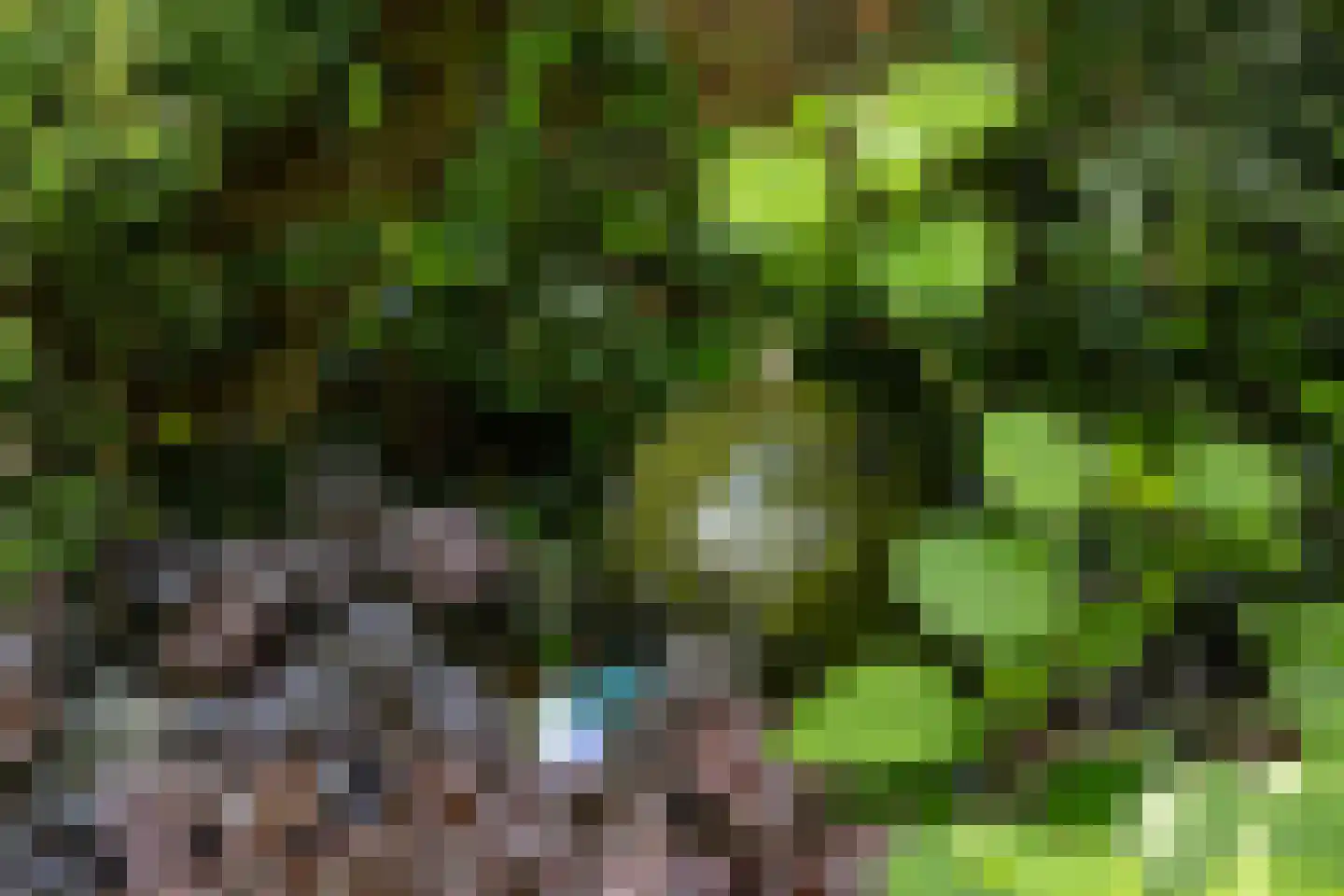 De Weergang 3 Arnhem thumbnail 34