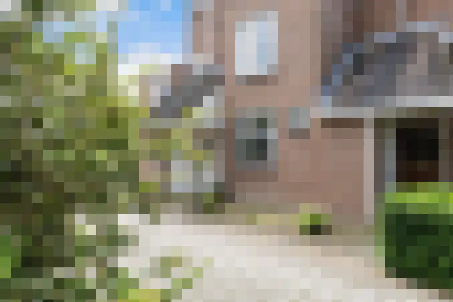 De Weergang 3 Arnhem thumbnail 4