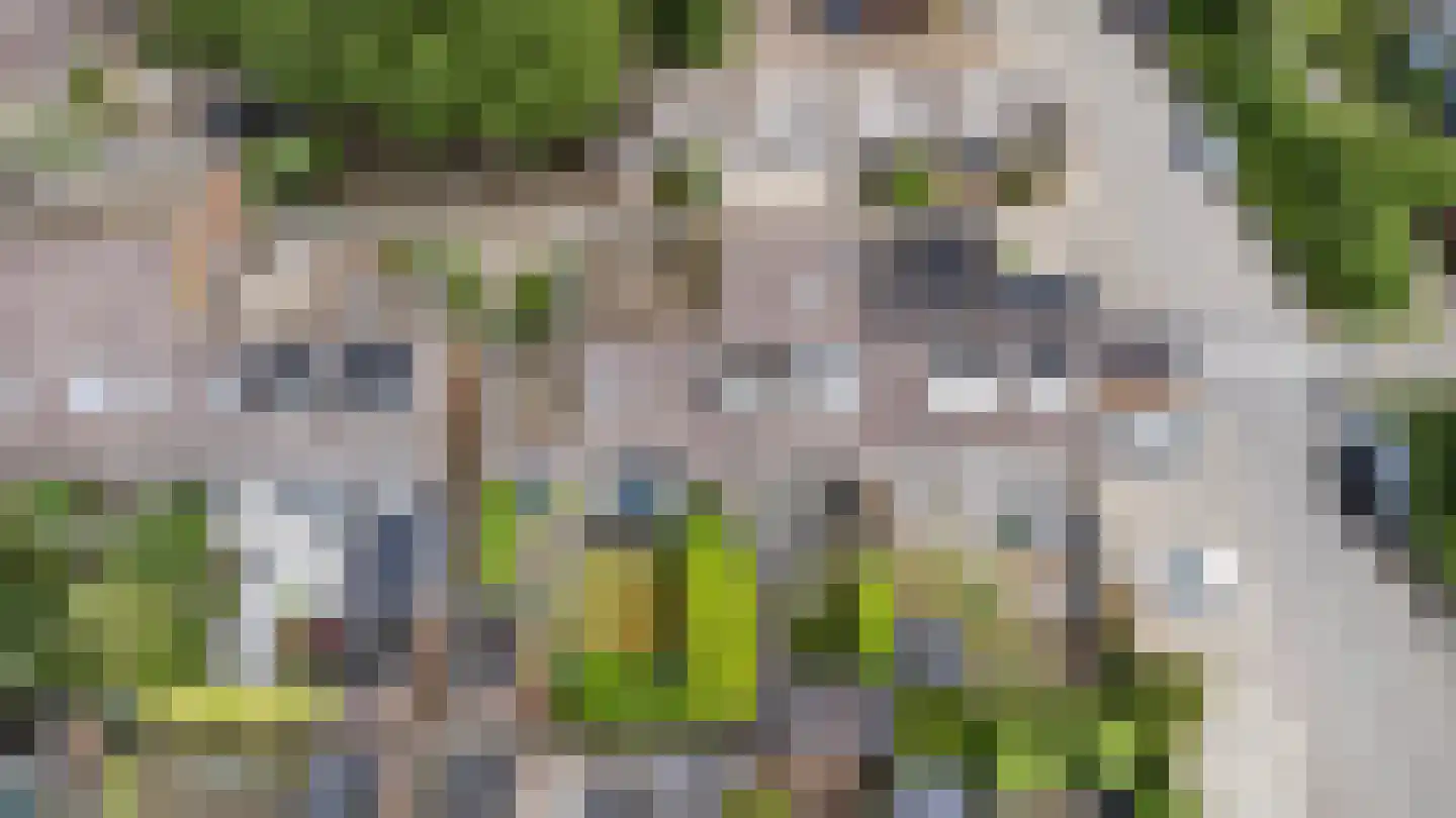 De Weergang 3 Arnhem thumbnail 41