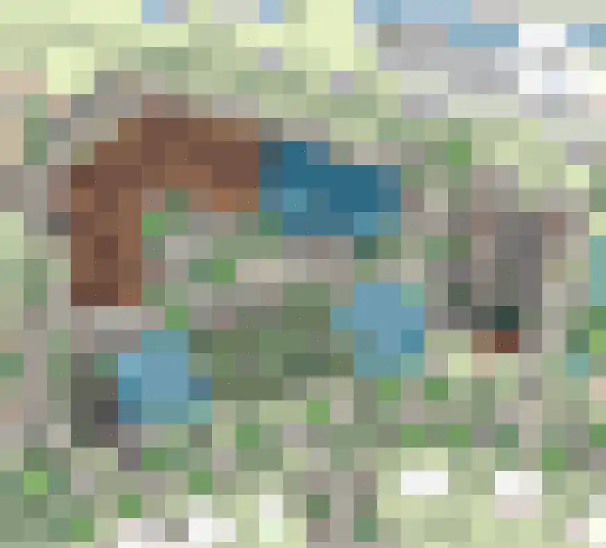 De Weermuur 1 Meteren thumbnail 7