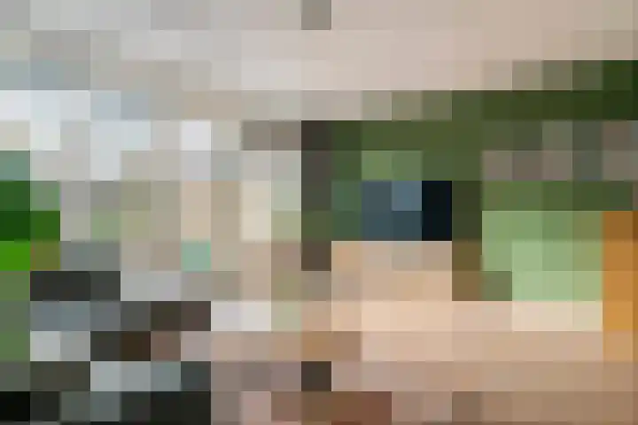 De Weermuur 25 Meteren thumbnail 13