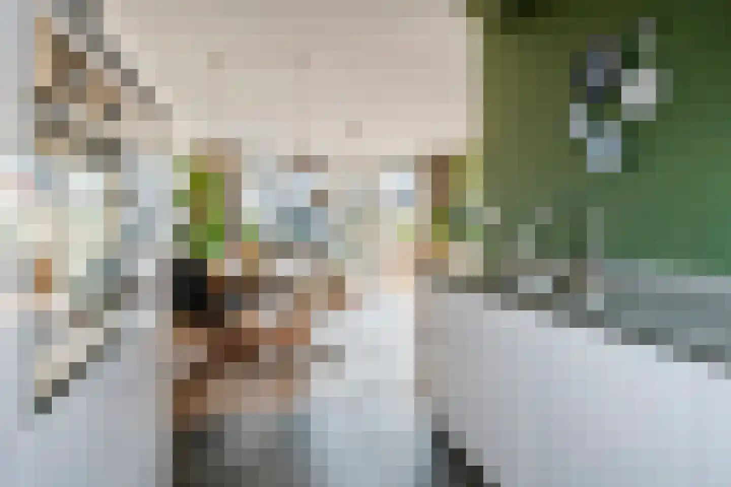De Weermuur 25 Meteren thumbnail 15