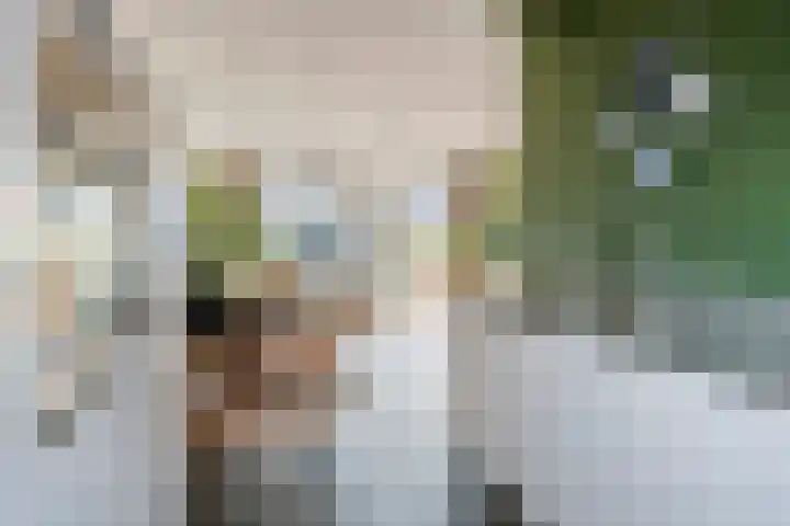 De Weermuur 25 Meteren thumbnail 15