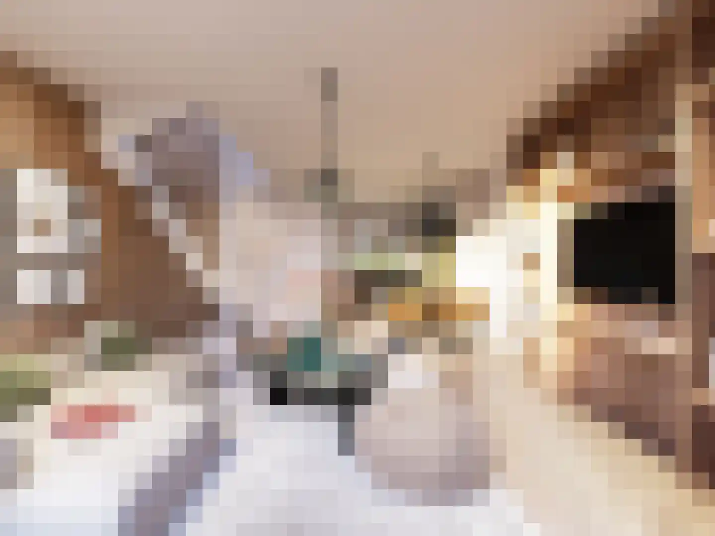 De Weermuur 4 Meteren thumbnail 4