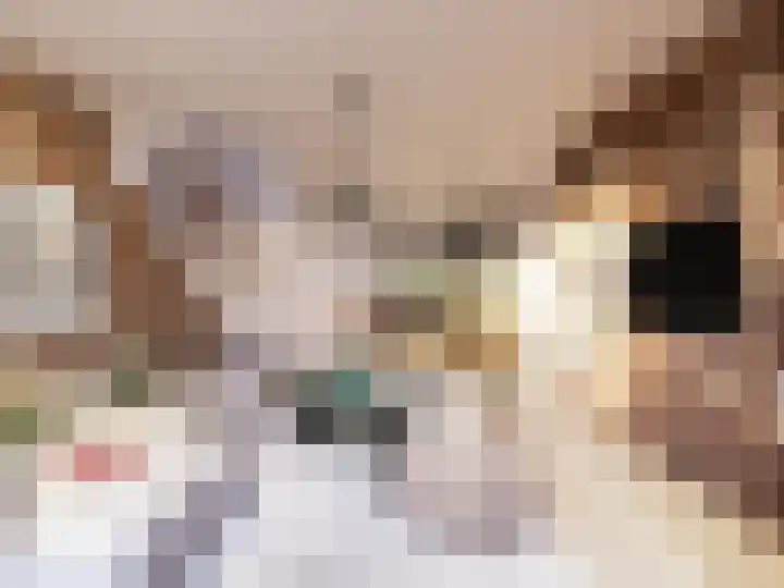 De Weermuur 6 Meteren thumbnail 4