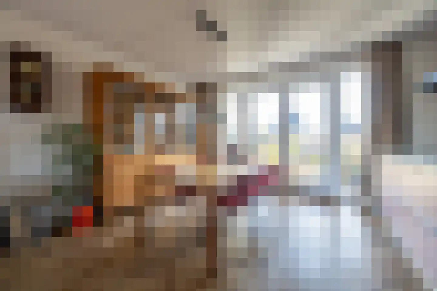 de Weerstallen 12 Kollum thumbnail 14