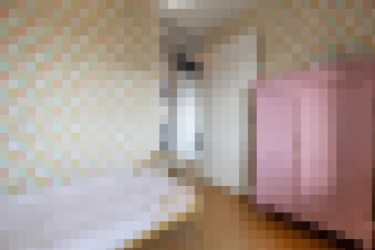 de Weerstallen 12 Kollum thumbnail 26