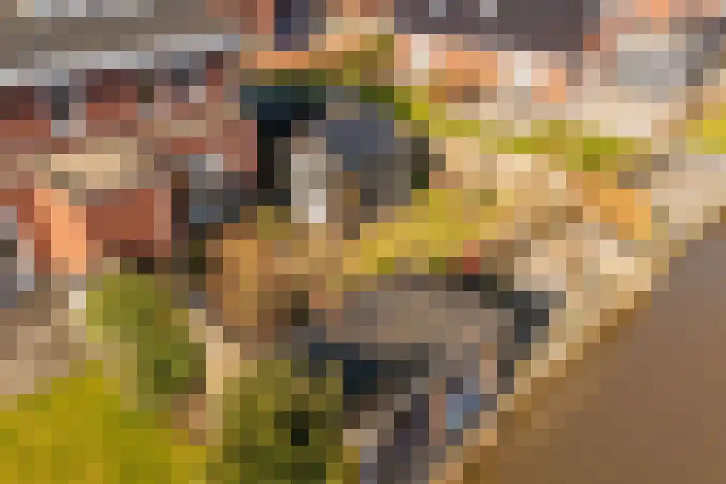 de Weerstallen 12 Kollum thumbnail 44