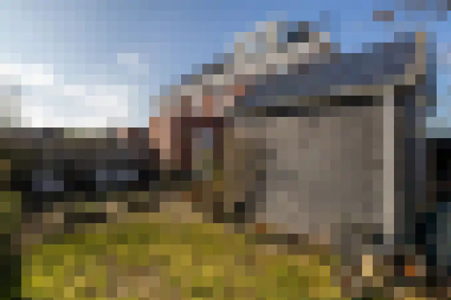 de Weerstallen 12 Kollum thumbnail 48