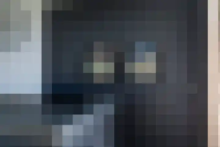 de Weerstallen 13 Kollum thumbnail 13