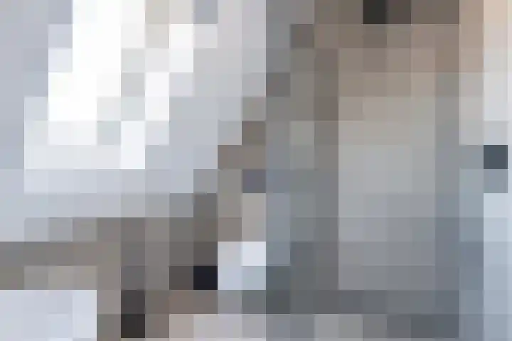 de Weerstallen 13 Kollum thumbnail 28