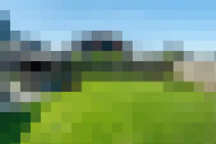 de Weerstallen 13 Kollum thumbnail 37
