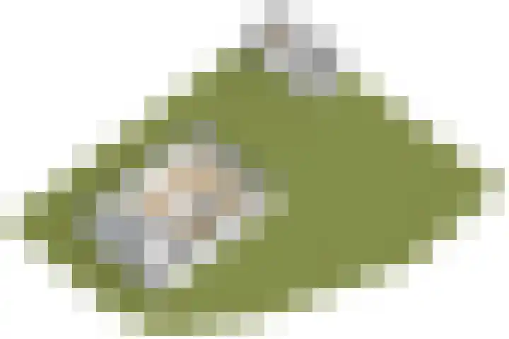 de Weerstallen 13 Kollum thumbnail 53