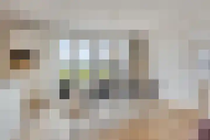 de Weerstallen 48 Kollum thumbnail 10