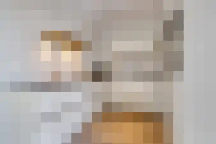 de Weerstallen 48 Kollum thumbnail 12