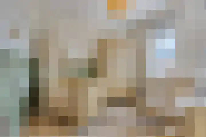 de Weerstallen 48 Kollum thumbnail 16