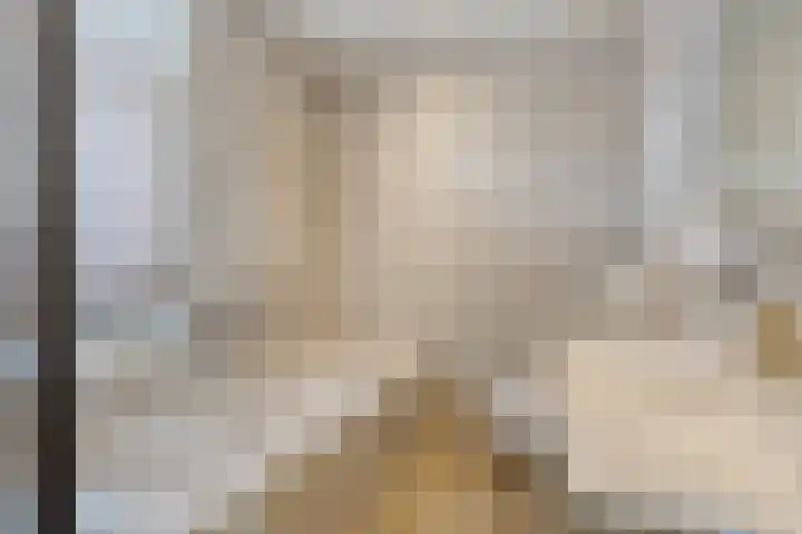 de Weerstallen 48 Kollum thumbnail 19