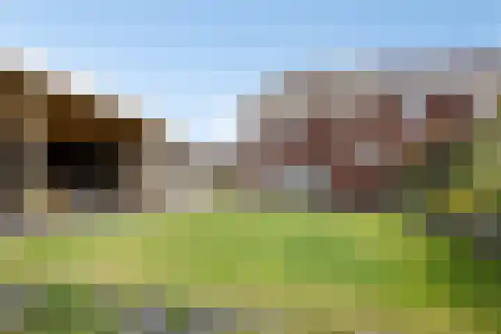 de Weerstallen 48 Kollum foto 2