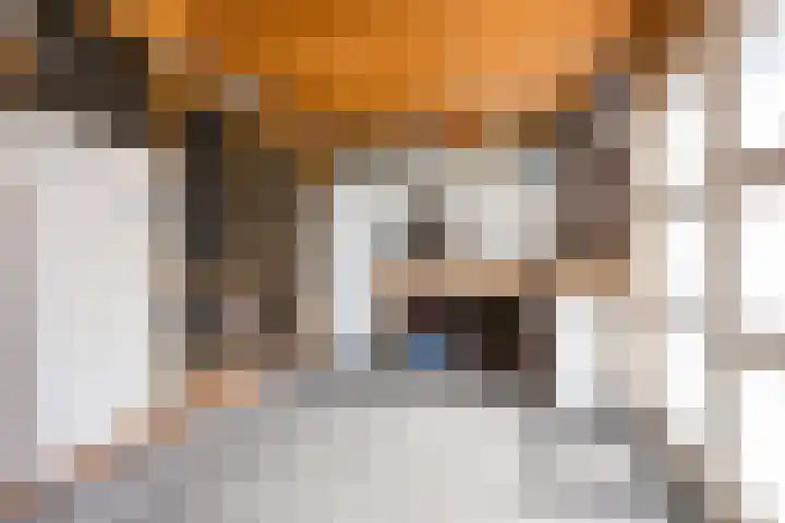 de Weerstallen 48 Kollum thumbnail 27