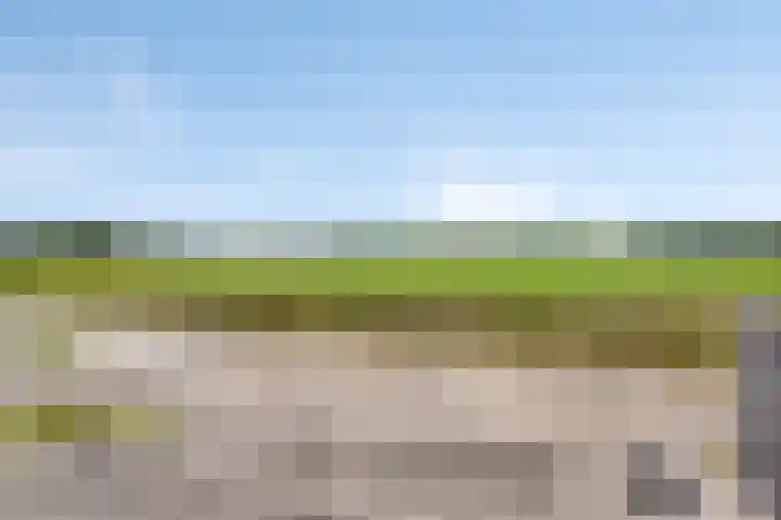 de Weerstallen 48 Kollum foto 3
